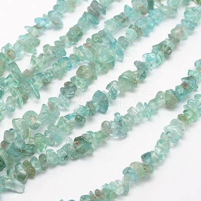 Chips Natural Apatite Beads Strands X-G-N0164-44-1