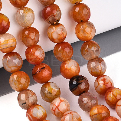Dyed & Heated Natural Fire Crackle Agate Beads Strands G-N359-01A-06-1