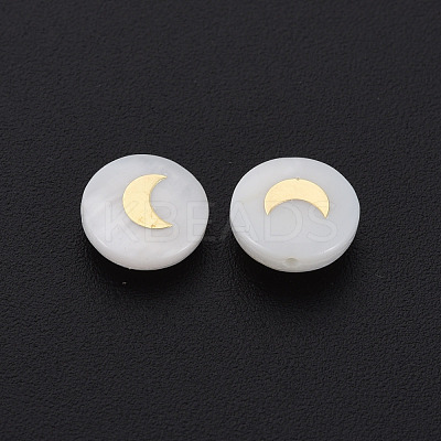 Natural Freshwater Shell Beads SHEL-N003-22-06-1