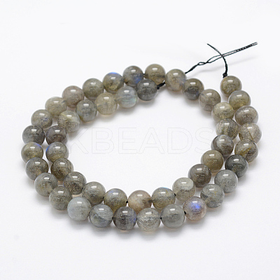 Natural Labradorite Beads Strands LS-G-P322-31-8mm-1