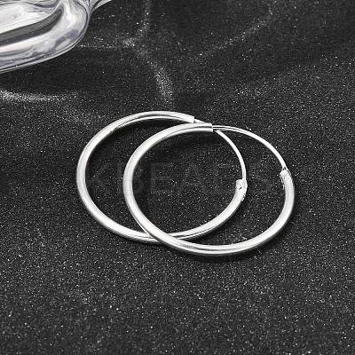 Brass Hoop Earrings EJEW-G474-01S-04-1