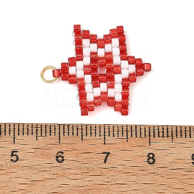 Glass Seed Beads Pendants PALLOY-MZ01457-03-1