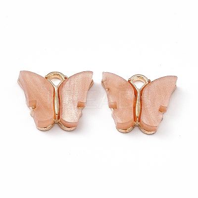 Acrylic Charms MACR-C012-01KCG-09-1