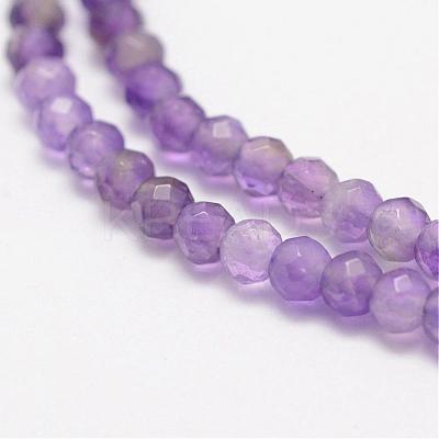 Natural Amethyst Beads Strands G-F460-50-1