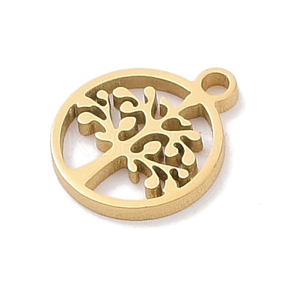 304 Stainless Steel Charms STAS-K286-01D-G-1