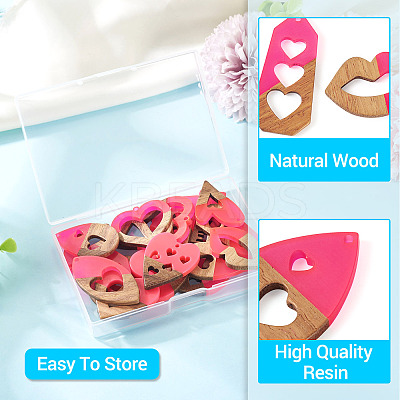 20Pcs 10 Styles Resin and Walnut Pendants WOOD-TA0002-73B-1
