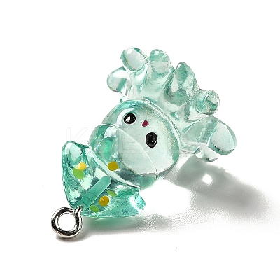 Marine Series Transparent Resin Pendants RESI-E031-02P-03-1
