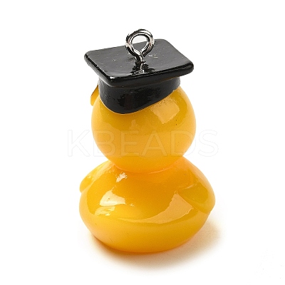 Graduation Theme Resin Pendants RESI-R442-02-1