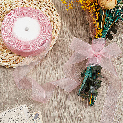 1 Rolls Sheer Organza Ribbon SRIB-CY0001-22A-02-1