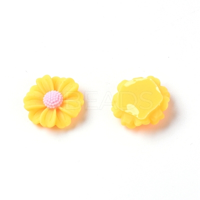 Resin Cabochons RESI-TAC0006-02A-02-1