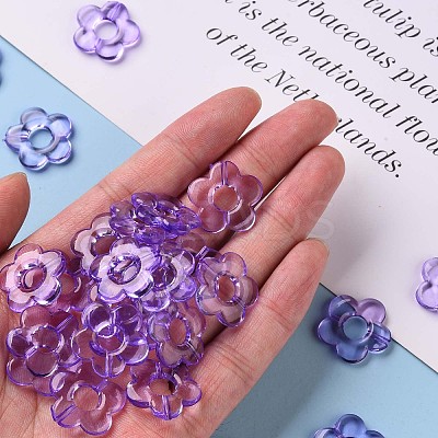 Transparent Acrylic Bead Frames X-TACR-S154-29B-47-1
