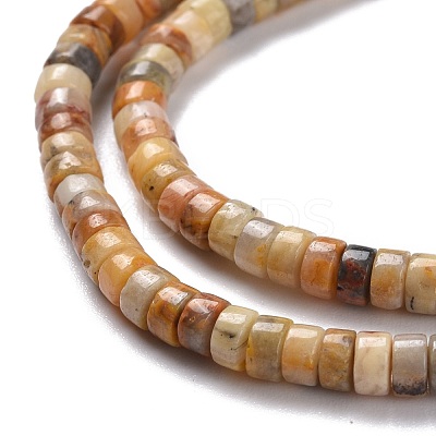 Natural Crazy Lace Agate Beads Strands G-P468-09-1