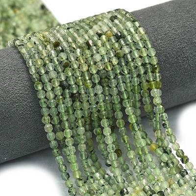 Natural Prehnite Beads Strands G-A260-A34-01-1