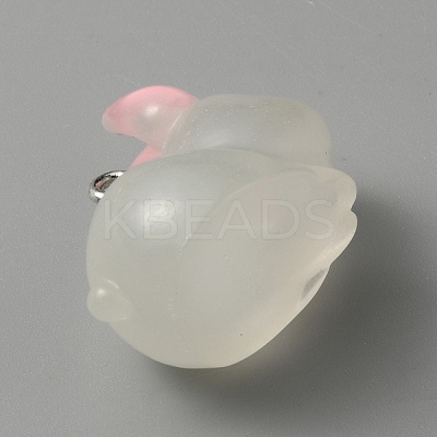 Luminous Translucent Resin Pendants LS-RESI-SZC0004-11A-1