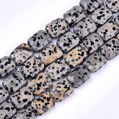 Natural Dalmatian Jasper Beads Strands X-G-T121-16-1