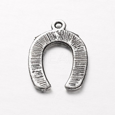 Tibetan Style Alloy Horseshoe Pendants TIBEP-3115-AS-RS-1