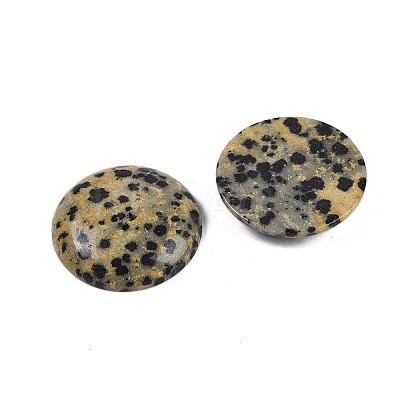 Natural Dalmatian Jasper Cabochons G-H1596-FR-25mm-07-1