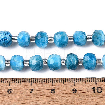 Natural Apatite Beads Strands G-T144-A01-08-1