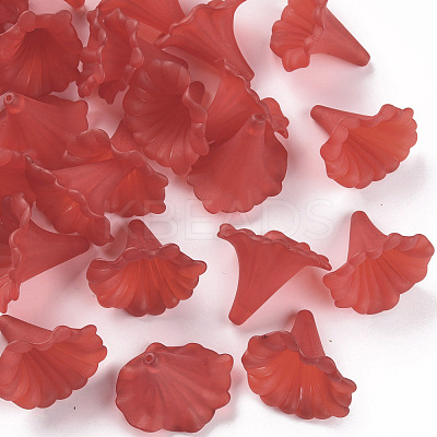 Transparent Acrylic Beads BSF796-C12-1