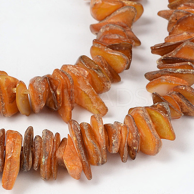 Natural Shell Beads Strands PBB226Y-1-1