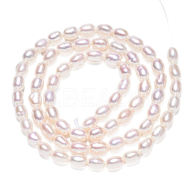 Natural Cultured Freshwater Pearl Beads Strands PEAR-N012-04G-1