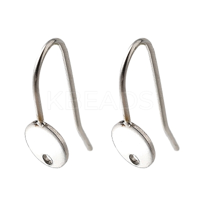304 Stainless Steel Earring Hooks LS-STAS-B087-09A-P-1