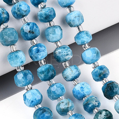 Natural Apatite Beads Strands G-T144-A01-08-1