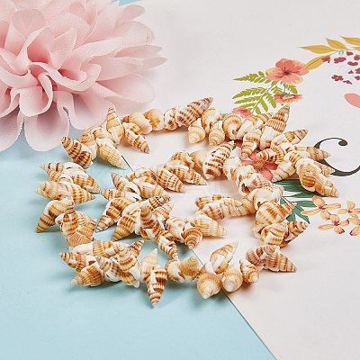 Natural Spiral Shell Beads Strands BSHE-SZ0001-03-1