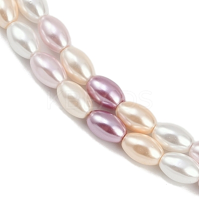 Electroplated Shell Pearl Beads Strands BSHE-H113-06C-01-1