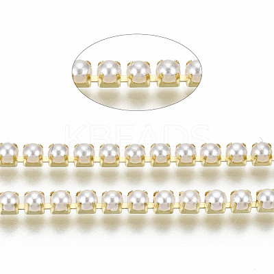 Brass Claw Chains CHC-Q012-SS8.5-01G-1