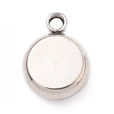 304 Stainless Steel Charms STAS-I165-04B-P-1