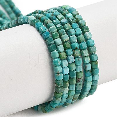 Natural HuBei Turquoise Beads Strands G-H042-B34-01-1