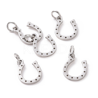 Tarnish Resistant 304 Stainless Steel Charms STAS-S105-T519S-1