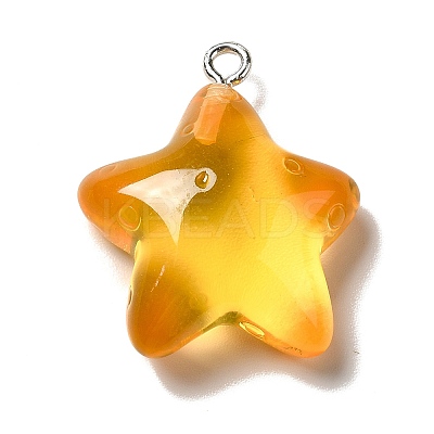 Marine Series Transparent Resin Pendants RESI-E031-02P-05-1