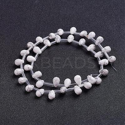 Natural Howlite Beads Strands G-J360-02-1