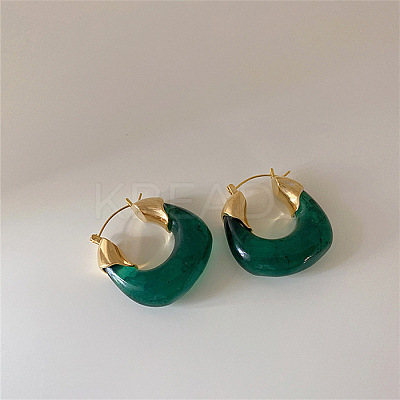 Retro Alloy Resin U-Shaped Hoop Earrings FS-WG1DDE7-05-1