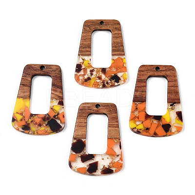 Transparent Resin & Walnut Wood Pendants RESI-TAC0017-72-A03-1