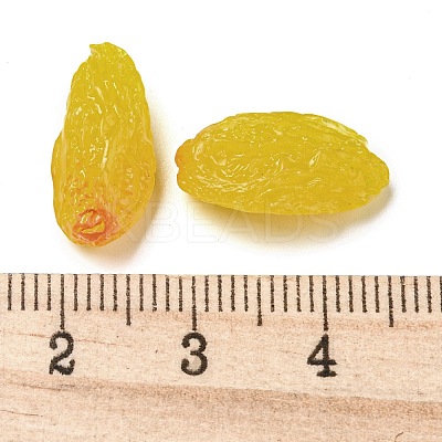 Fruit Opaque Resin Decoden Cabochons RESI-H156-01-08-1