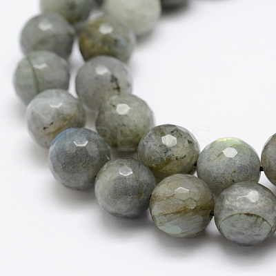 Natural Labradorite Beads Strands G-P322-28-10mm-1