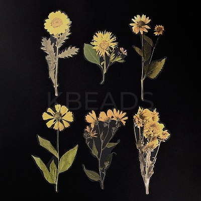 6Pcs Plant PET Adhesive Waterproof Stickers DIY-K074-01D-1