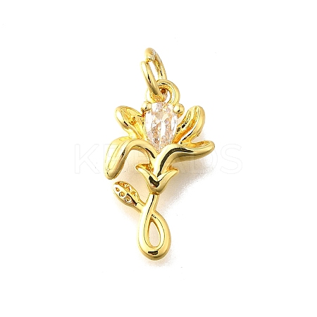 Brass Micro Pave Cubic Zirconia Pendants KK-Z102-04G-02-1
