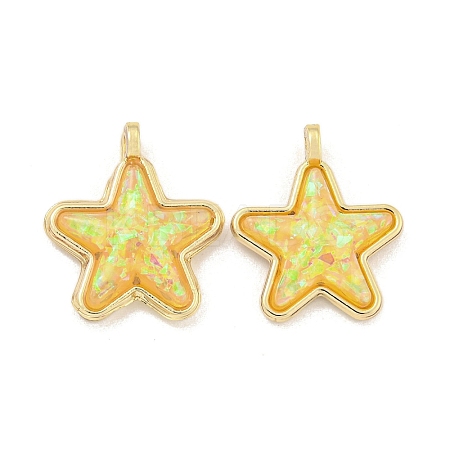 Translucent Resin Pendants KK-M291-24F-1