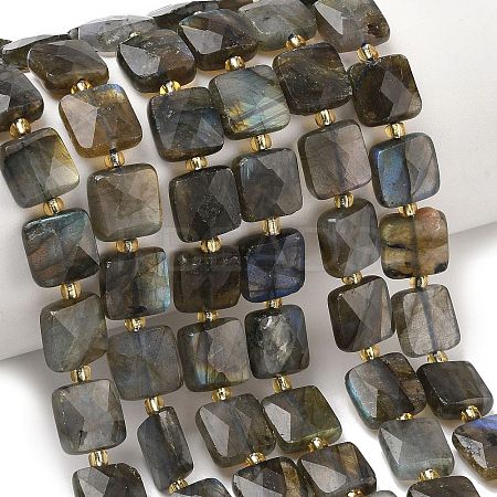Natural Labradorite Beads Strands G-L642-L02-10mm-1