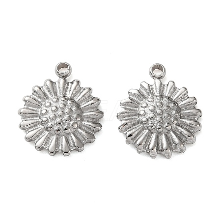 304 Stainless Steel Charms STAS-P440-04P-1