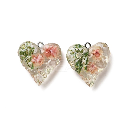 Inner Dried Flower Transparent Resin Pendants RESI-A043-03C-1