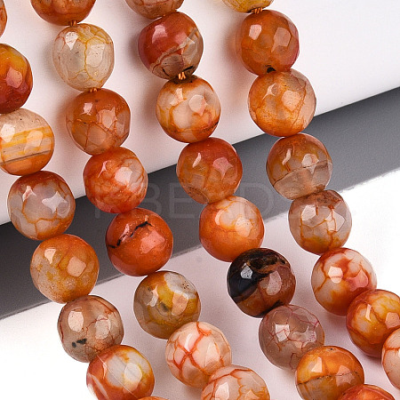 Dyed & Heated Natural Fire Crackle Agate Beads Strands G-N359-01A-06-1