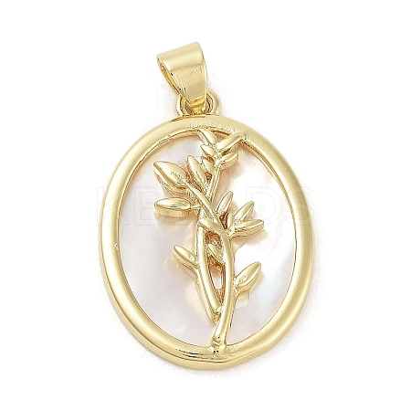 Rack Plating Brass Pave Shell Pendants KK-Z064-28G-01-1