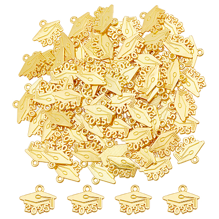 100Pcs Alloy Pendants FIND-DC0007-27G-1