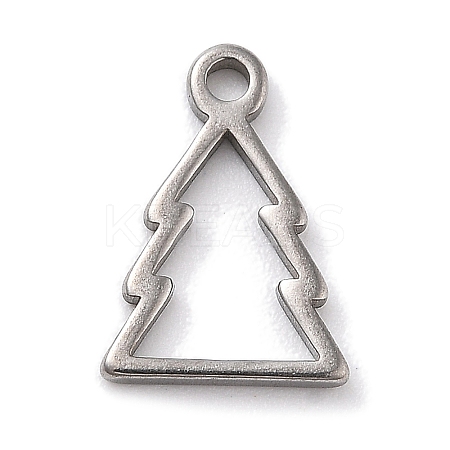 Anti-Tarnish 304 Stainless Steel Charms LS-STAS-R003-01P-06-1