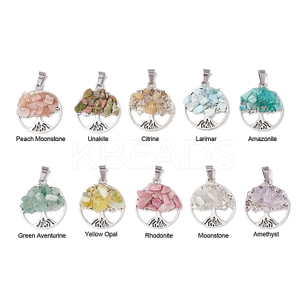 10Pcs 10 Styles Natural Mixed Gemstone Chip Pendants PALLOY-JF02836-1